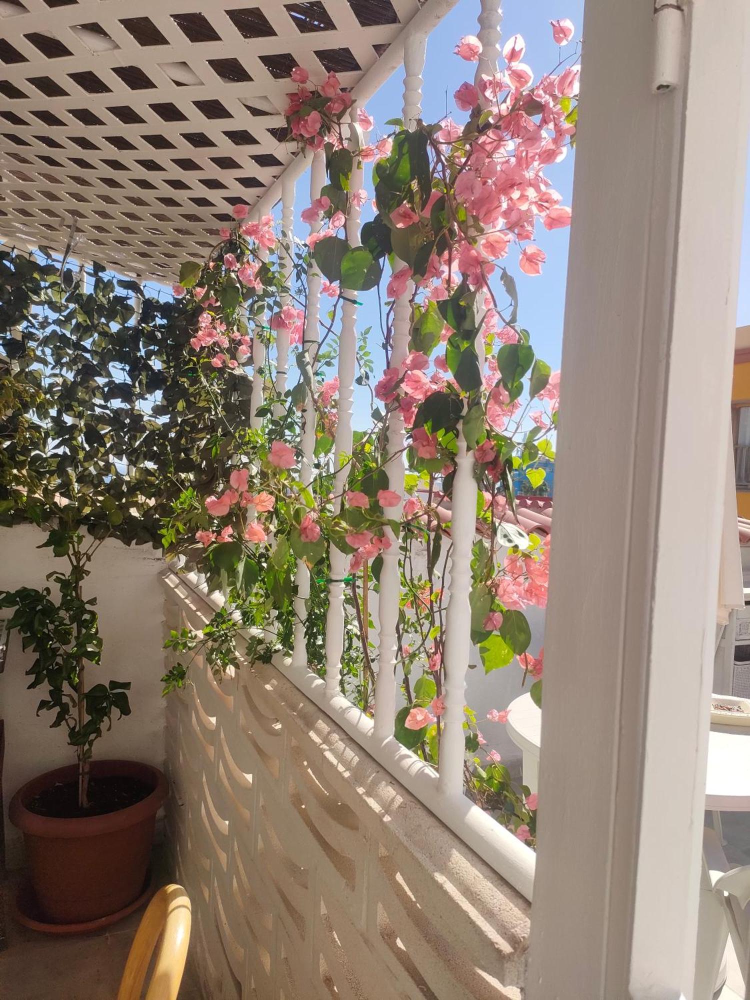 Casa Alba 2 Aparthotel Пуерто дел Росарио Екстериор снимка
